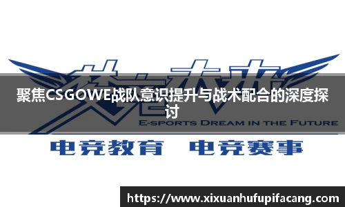 聚焦CSGOWE战队意识提升与战术配合的深度探讨